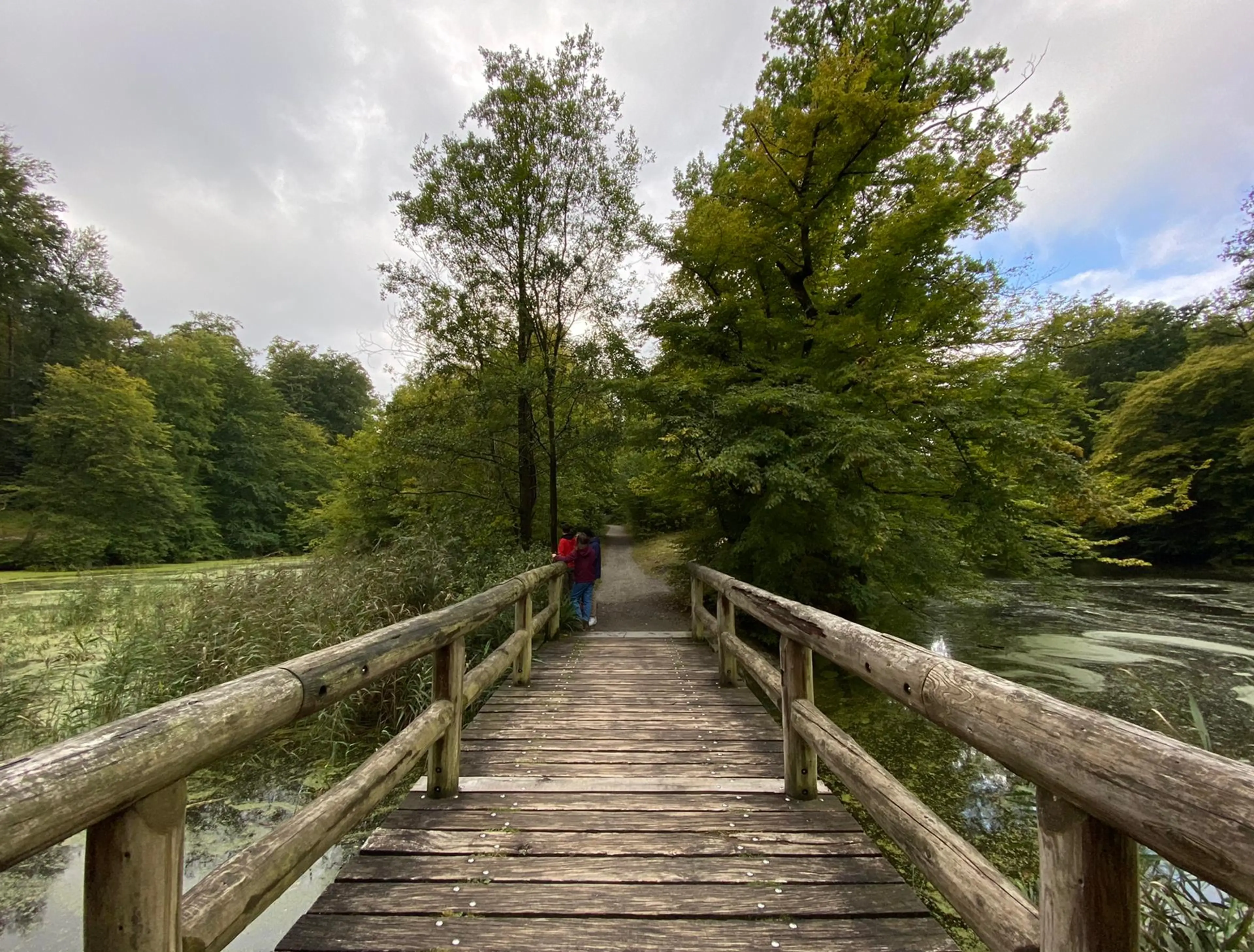 news-fedactio-stapt-mee-in-de-refugee-walk-20